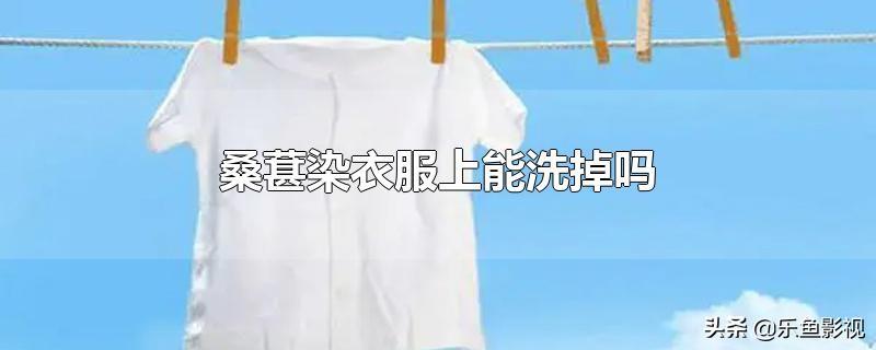 桑葚弄到衣服上怎么办，衣服上染了桑葚汁的去除办法