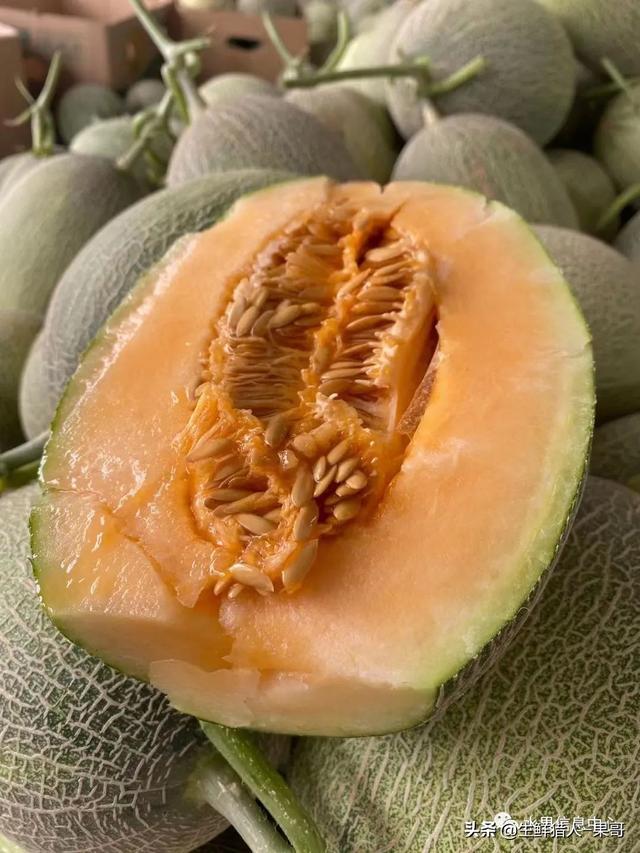 绿色的哈密瓜叫什么，绿色的哈密瓜叫什么名字（哈密瓜、蜜瓜、网纹瓜、香瓜、羊角蜜傻傻分不清）