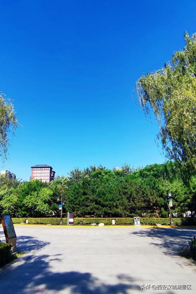 唯美图片清新简约 请允许我成为你的夏季，唯美图片清新简约头像（是时候给你点“颜色”看看了……）