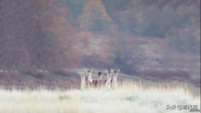 女人爱自己的霸气句子，女人的说说句子霸气致自己（女人好好爱自己的句子）