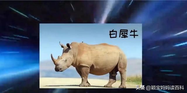 什么叫哺乳动物，什么叫哺乳动物怎么听一遍啊（<二十一>——强大的哺乳动物）