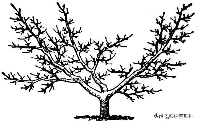 二叉树的深度和高度有什么区别，二叉树的高度与深度（C语言数据结构：什么是树）