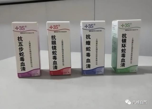 猫为什么可以跟毒蛇打架，猫和蛇打架猫不怕毒吗（重庆一只小猫叼着小毒蛇回家）