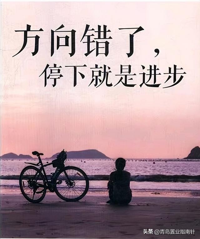 青岛野生动物园，青岛野生动物园开放时间（从动物园的搬离看青岛老市区的复兴）