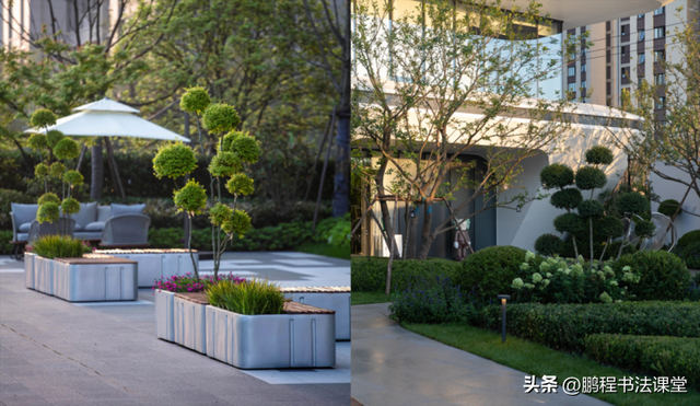 梦见植物是什么征兆，干货丨植物寓意篇