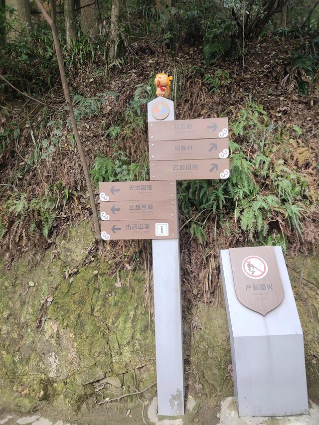 歌乐山森林公园，重庆旅游必去景点（歌乐山国家森林公园）