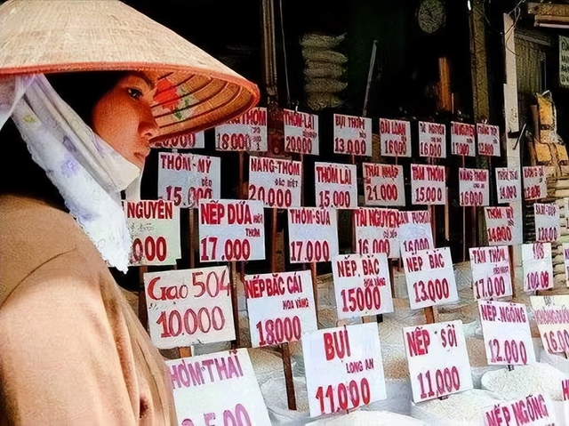 贸易赤字什么意思，国际贸易赤字什么意思（德国、日本、越南都出现了贸易赤字）