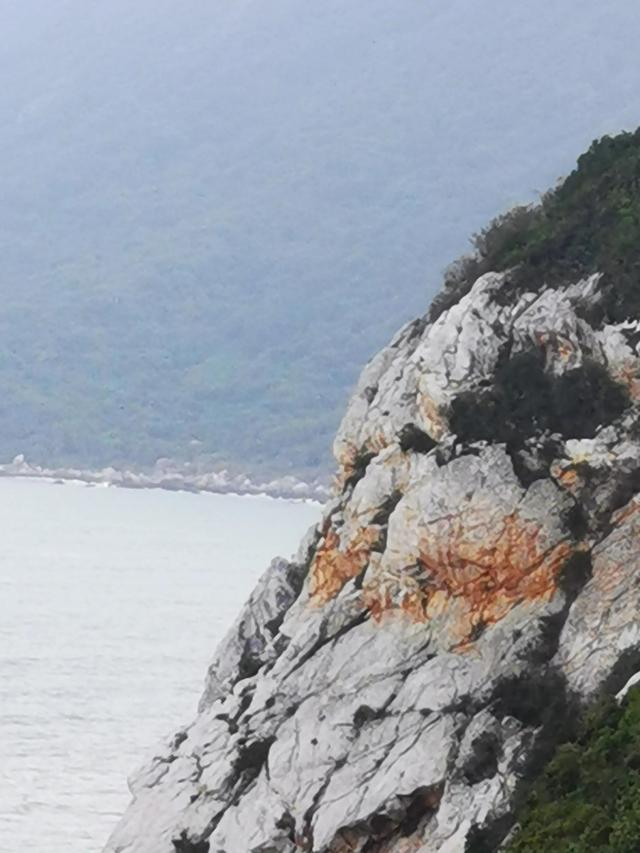 杨梅坑鹿嘴山庄，杨梅坑深圳旅游（鹿嘴山庄寻鹿攻略）