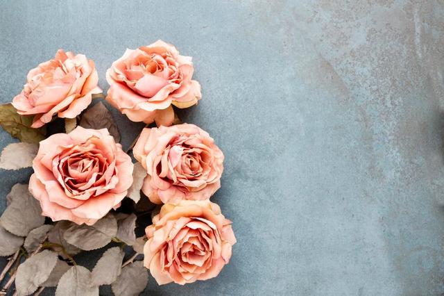 取悦自己是什么意思，的意思是什么（有一种聪明的生活方式）