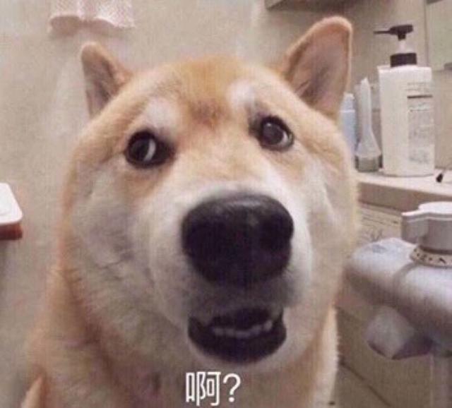 狗狗能吃糯米吗，狗狗最忌讳吃什么食物（这些东西可要小心了）