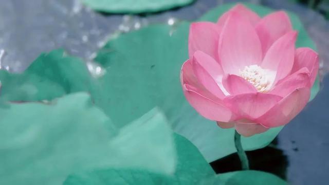 普陀山旅游攻略最新，普陀山旅游攻略2021（期待与你在普陀山朱家尖的邂逅~）