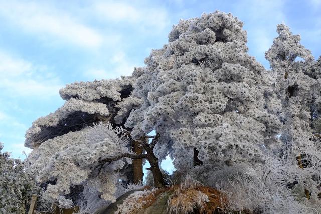 广州出发-湖南2天游, 登顶南岳衡山,赏雾凇冰挂