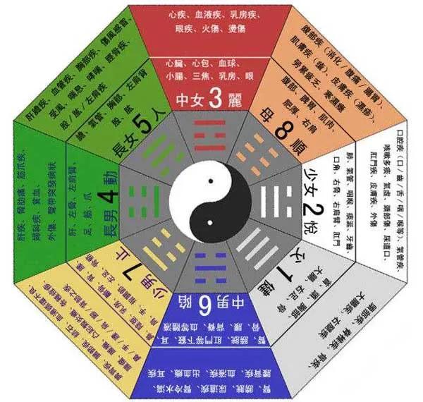 初学者怎么学易经，学易经的基本步骤（自学周易的正确方法，值得收藏）