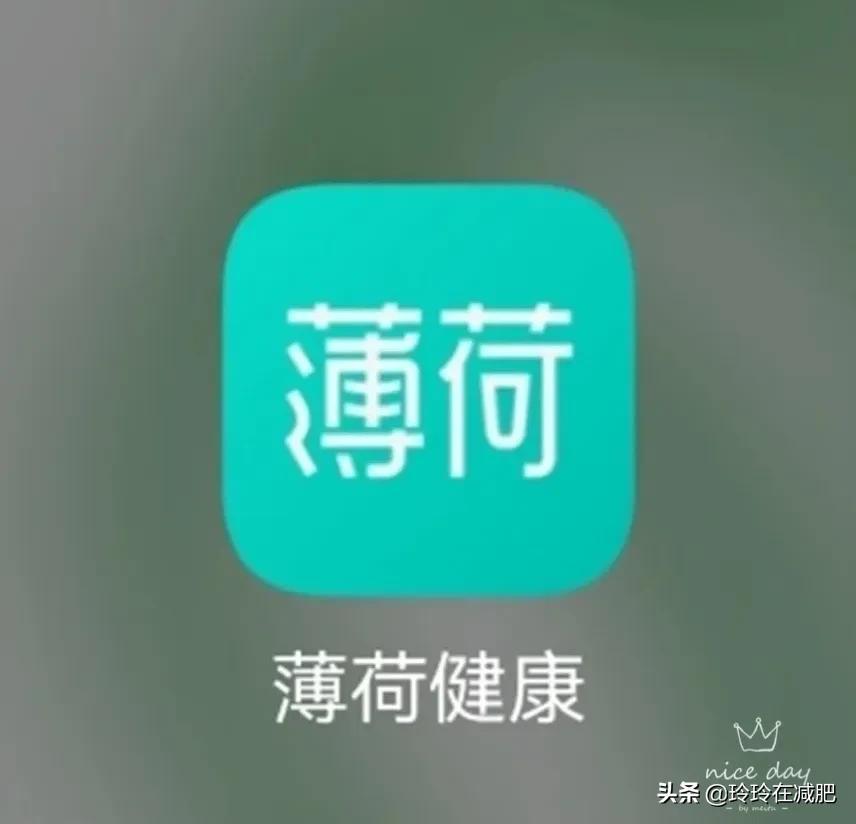 计算卡路里的app有哪些（减肥人士必备APP）