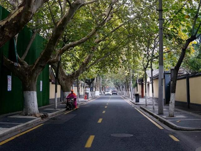 南京景点排行榜前十名，南京好玩的景点推荐（江苏南京鼓楼区十大旅游景点）