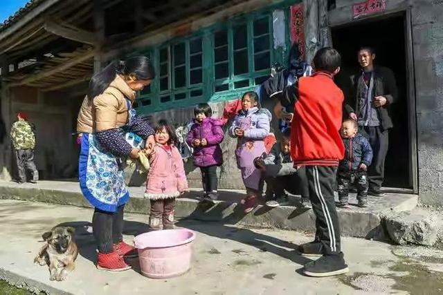 猪生八个小孩图片，母猪生一胎至少8头猪仔（卖8头肥猪勉强可以养活8个孩子）