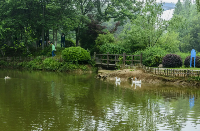 南京周边旅游景点推荐，南京周边自驾游（34个好玩又免费的宝藏公园）