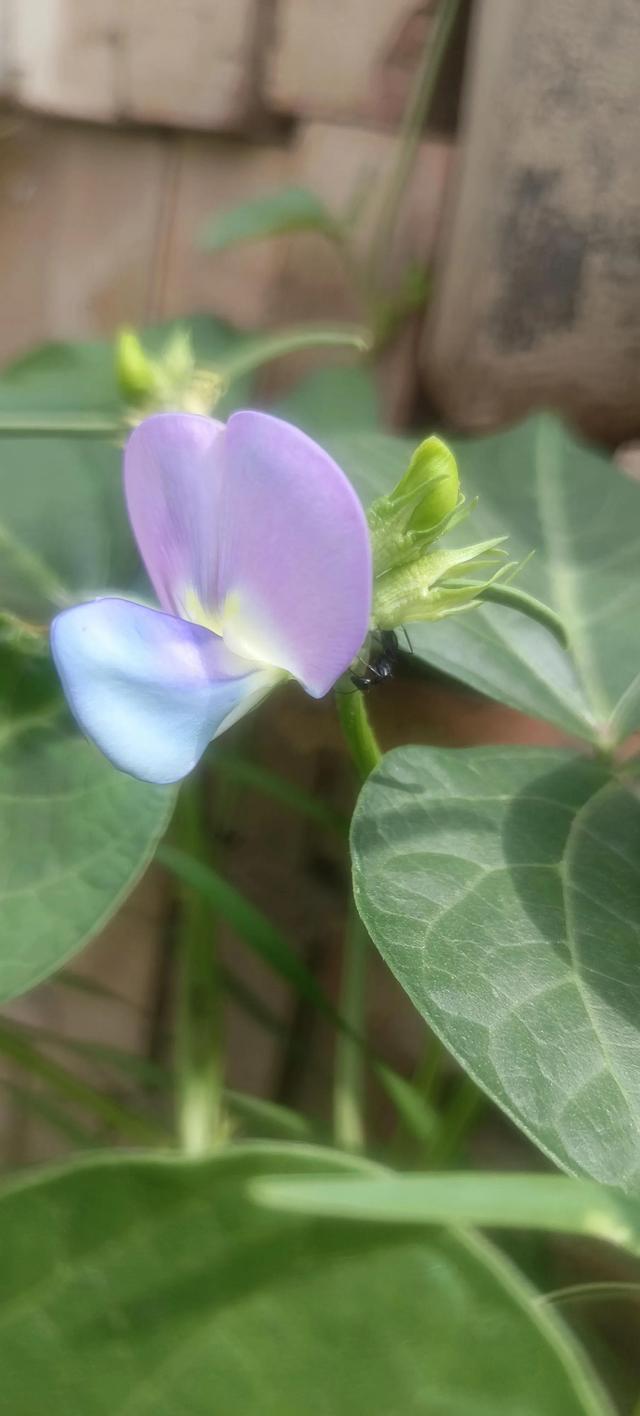 佛法修心口诀，禅宗心法口诀（修心不知如何修）