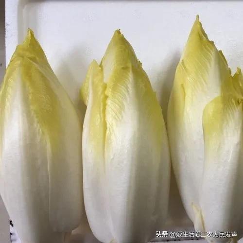 现在做什么生意最赚钱，现在什么生意好做（来做这五个小生意吧）