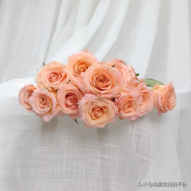 12种颜色的图片（2022秋冬十大流行色）