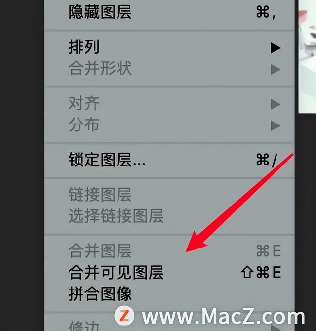 ps 怎么合并图层，如何在Photoshop中合并可见图层