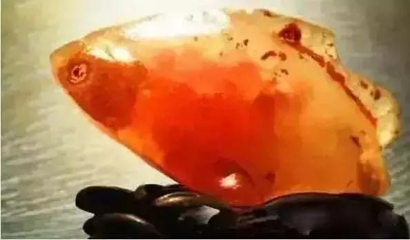 世界上最贵的烟，世界上最贵的十大香烟排名是什么（世界上最贵的，让你开眼）