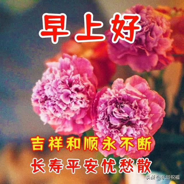 健康平安祝福语，过年平安祝福语大全（早上好祝福问候语图片）