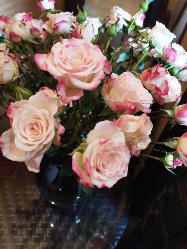 粉色玫瑰代表，永恒的爱—粉色玫瑰花语（33朵玫瑰的寓意）