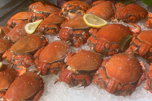 螃蟹的品种有哪些，什么品种的螃蟹（带你认识不同的螃蟹和吃法）