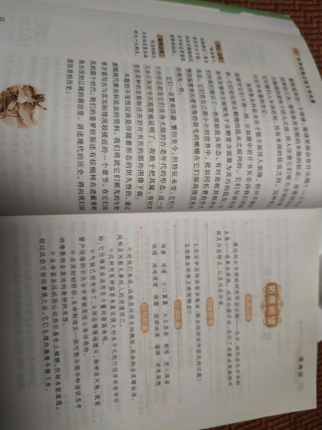 老象虫的外形特点，老象虫外表有何特点（一起读书——《昆虫记》）