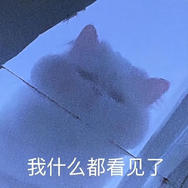 逗人开心的图片，高级文案幽默笑死人（一期看完就会开心的图片）