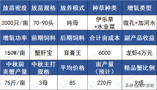 母蟹的养殖方法和注意事项，纯母蟹养殖早上市抢高价