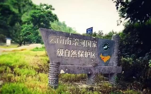 云南临沧市最美风景，到秘境临沧，与茶山亲密接触