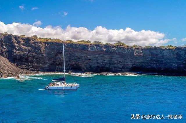 香兰叶的种植方法，香兰怎么种植（你准备迎接美好盛夏了吗）