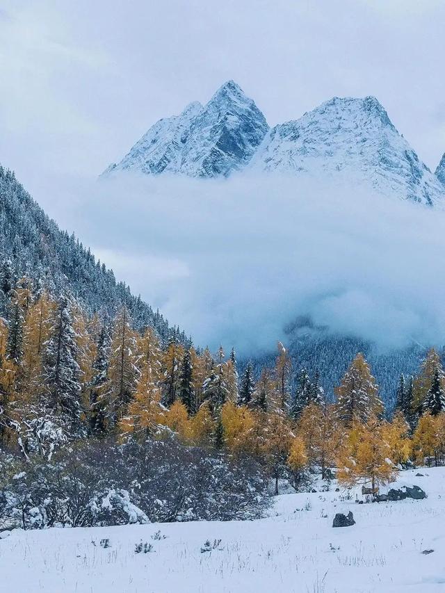 四姑娘山旅游攻略，四姑娘山游玩攻略（仙境也不过如此了吧❤️绝美四姑娘山攻略2⃣️）