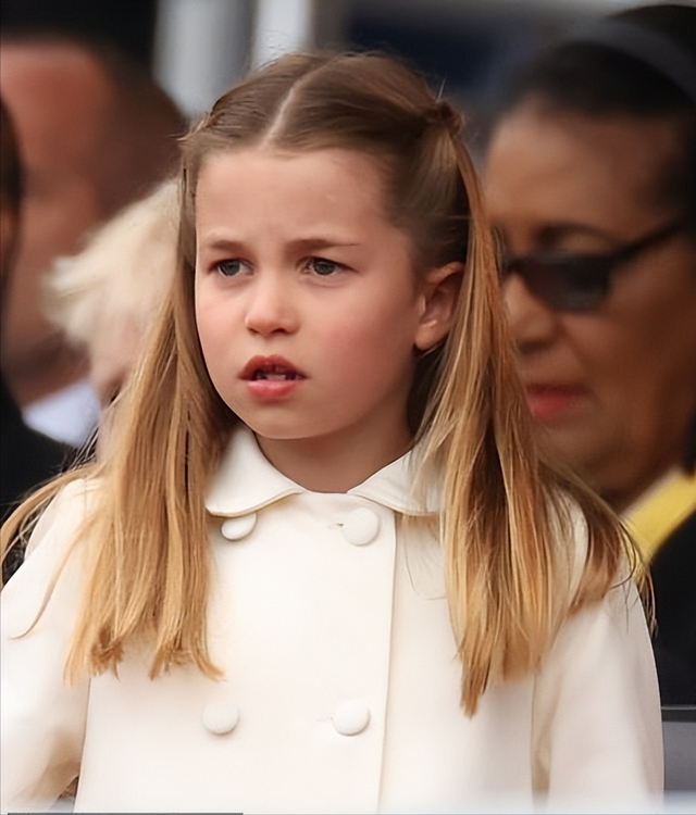 一岁小公主生日祝福语，小公主的生日祝福语有哪些（皮肤白皙长得像哈里）