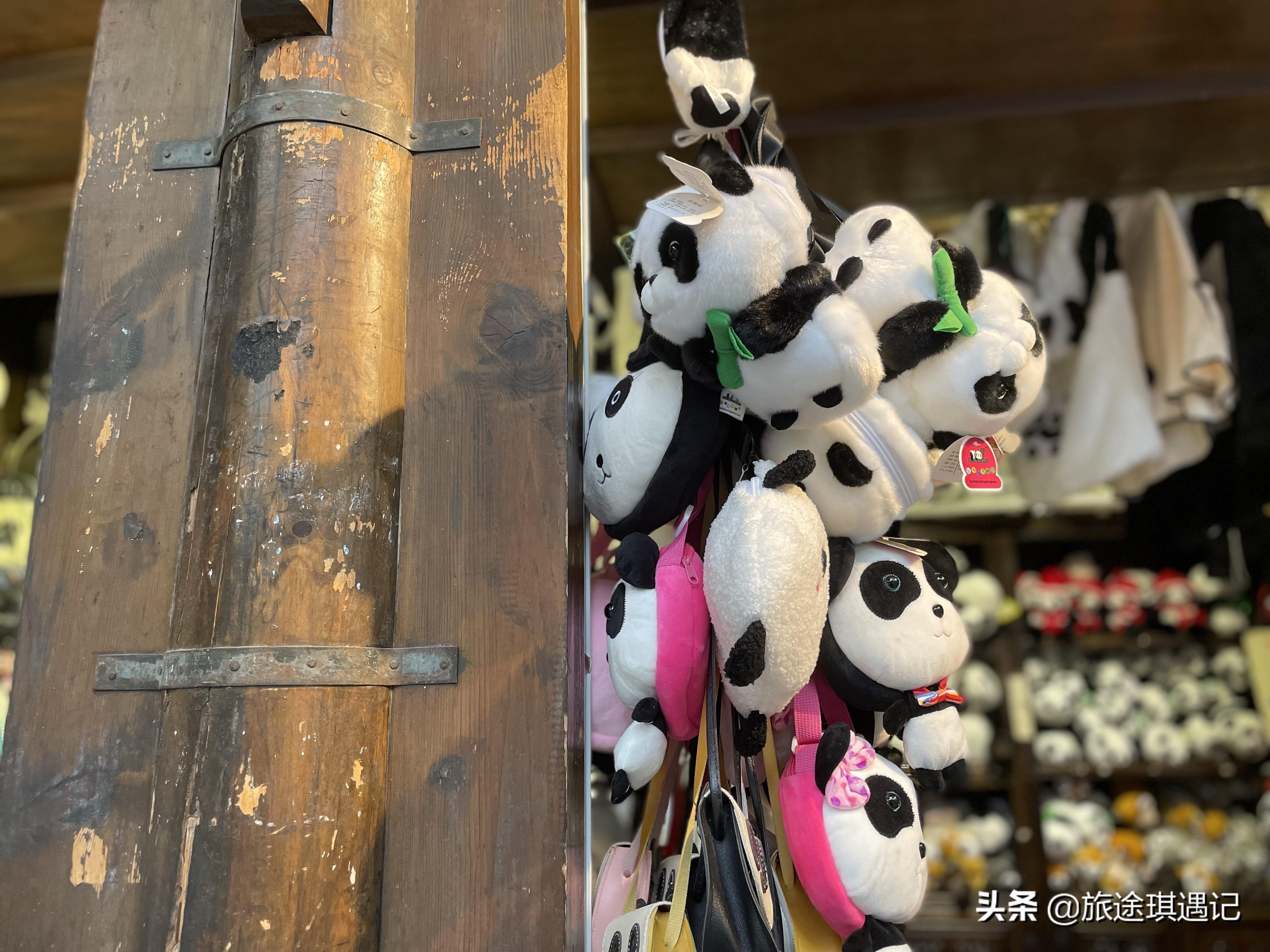 成都旅游攻略自由行攻略（四天三夜全攻略，初步感受天府之国的魅力）