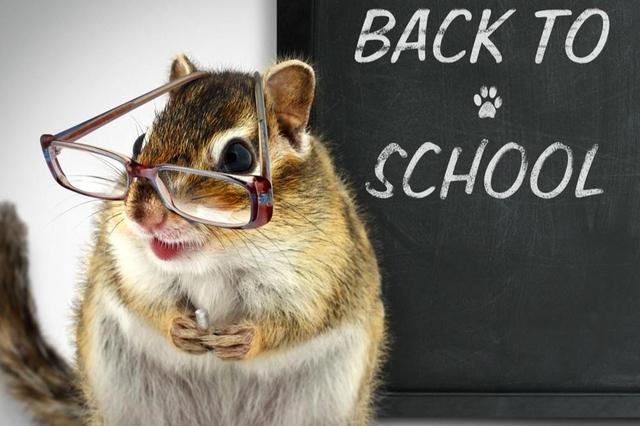 求动物进化类小说，求动物进化类小说的软件（以异类之身成就强者之名）