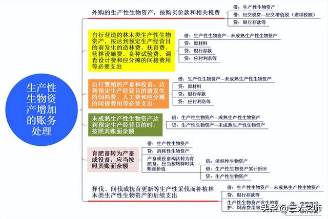 消耗性生物资产，消耗性生物资产是什么（生物资产案例分析及关键考点）