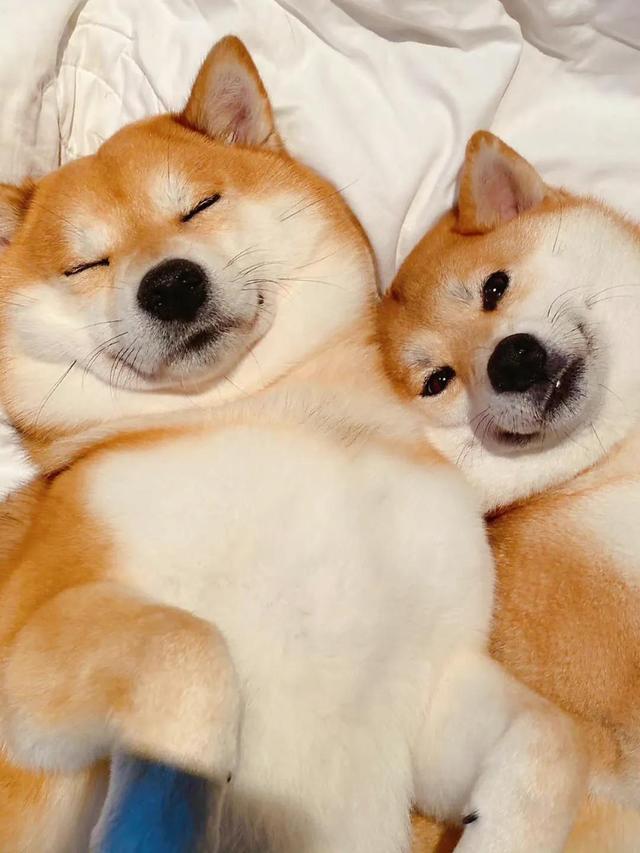 适合中年人的头像，中年人头像?微信（适合老年人的头像）