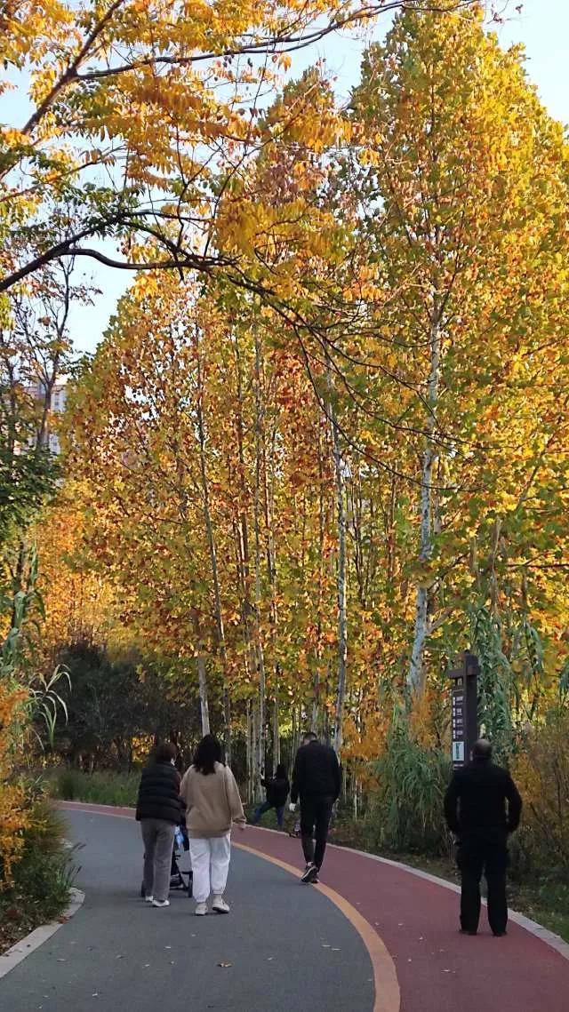 灵魂相似的人一旦相逢，灵魂相似的人一旦相逢是知心朋友（总有一天会在路上相逢）