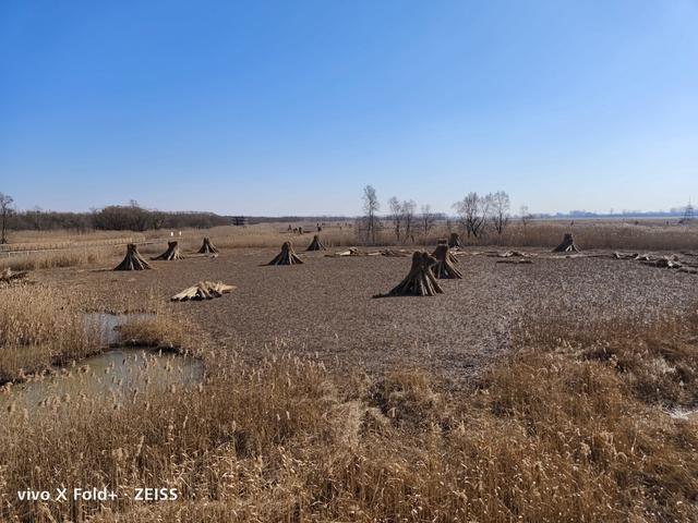 上海周边两日游，上海周边自驾2日游攻略（上海 -- 崇明 2日游）