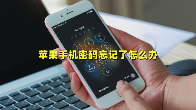 苹果手机密码忘了怎么解锁，苹果手机密码忘了怎么解锁数字（苹果手机5种最简单解锁方法密码忘记了怎么办才能解开）