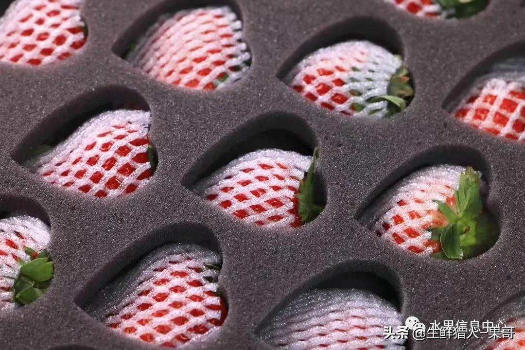 浆果是什么，浆果是什么软件（不同水果的不同包装<浆果篇>）