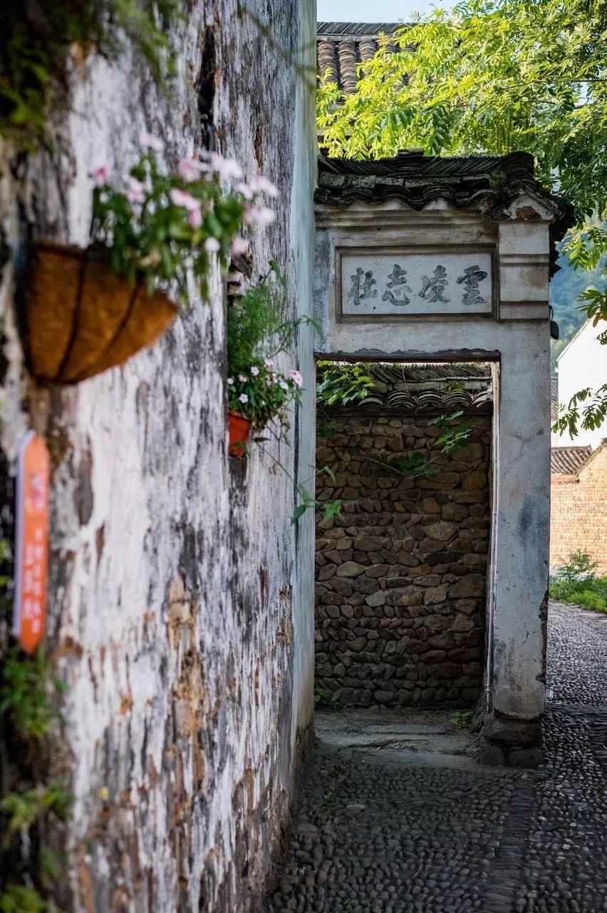 桃花源水上人家（寻一处静谧古镇小住几日）