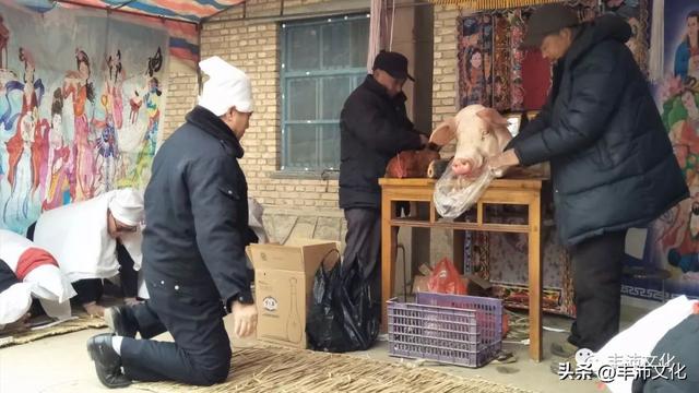 茧有何寓意，茧跟什么有关（这些常说的“侃子”②）