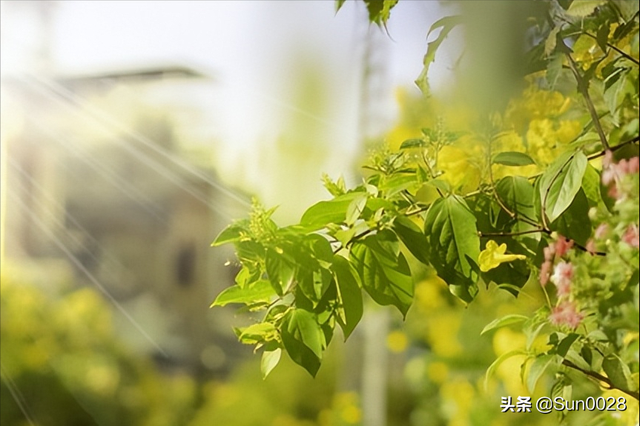 踏青的唯美句子发朋友圈，踏青的唯美句子发朋友圈春天（关于清明节的句子文案）