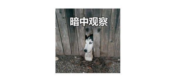 小作文怎么写，历史小作文怎么写（一文教你写好小作文）