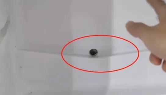 怎么才能不让冰箱冷冻结冰，如何不让冰箱结冰结霜（只需动一下这里）