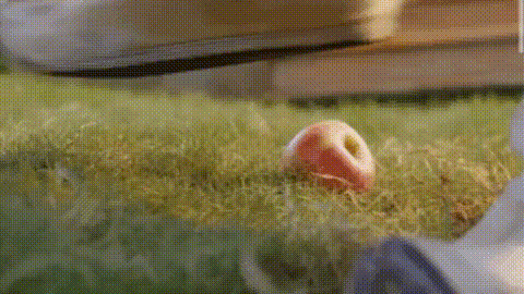 18x小说，现代18x小说推荐（看完这些烂剧，我真瞎了）